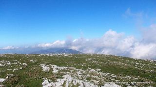 nte Scuderi-23-11-2014 09-49-32